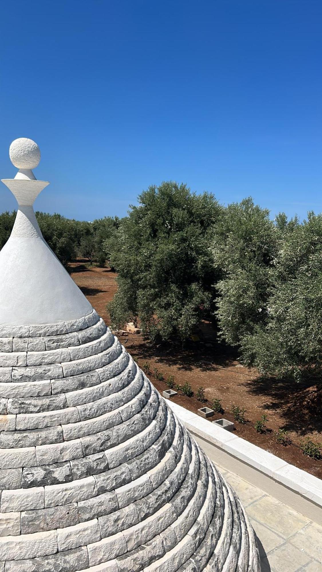 Il Trullo Di Bina Bed & Breakfast Pezze Di Greco Dış mekan fotoğraf